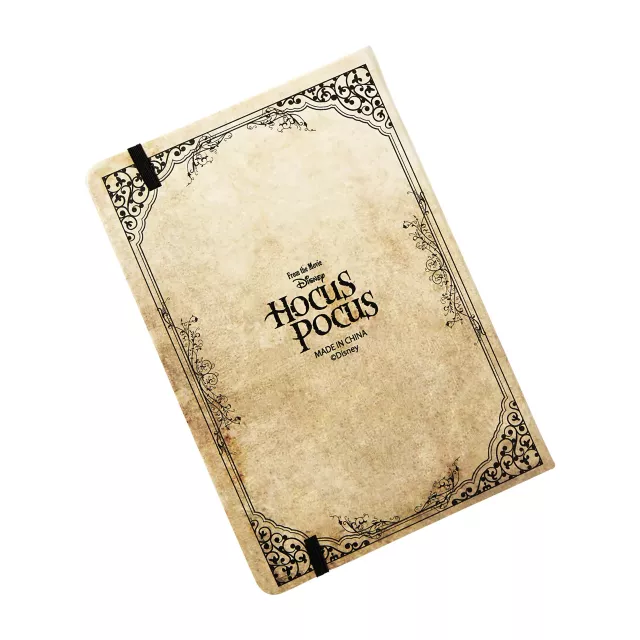 Museum of Witchcraft Journal - Hocus Pocus at Spirit Halloween