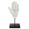 Palmistry Hand at Spirit Halloween