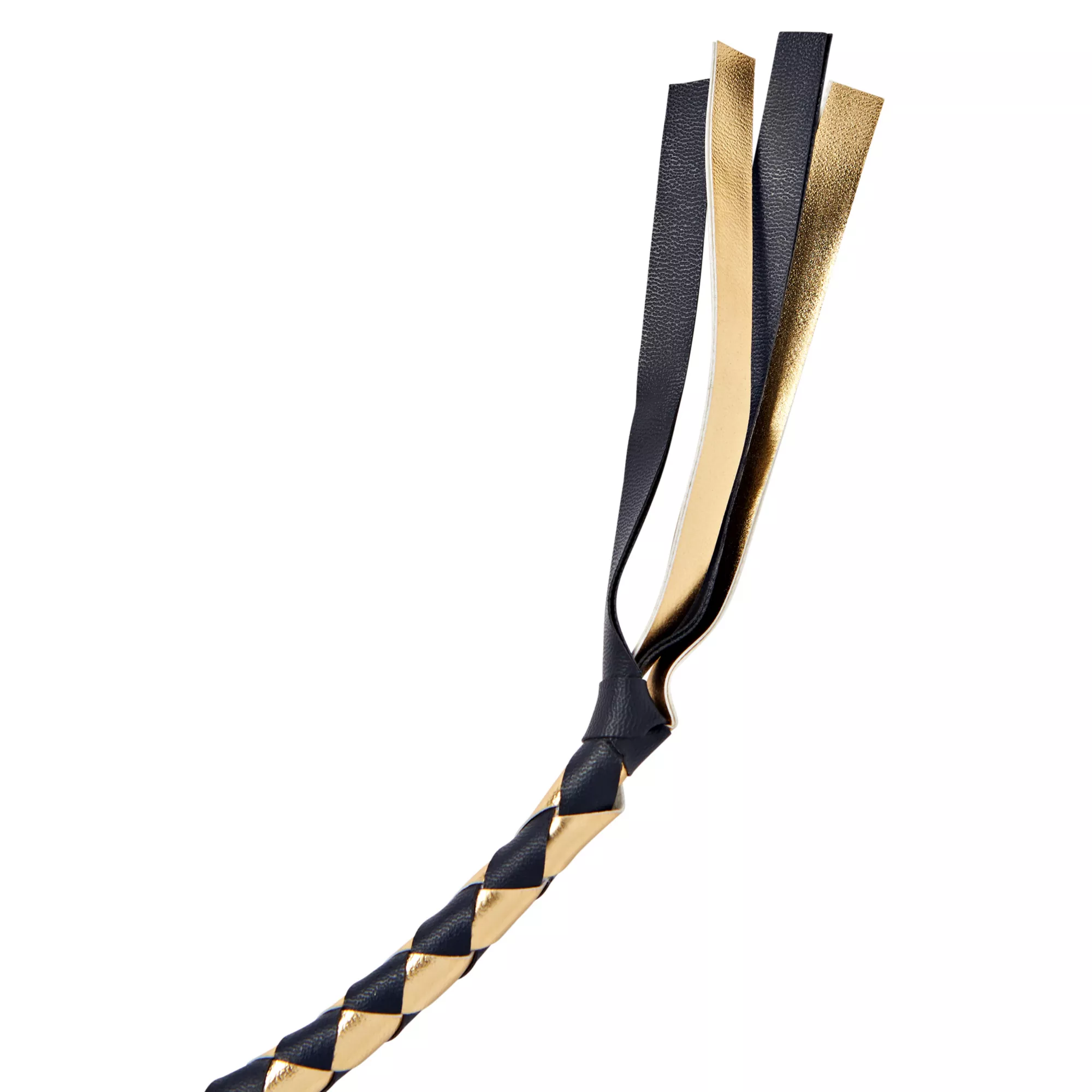 Ringmaster Whip at Spirit Halloween