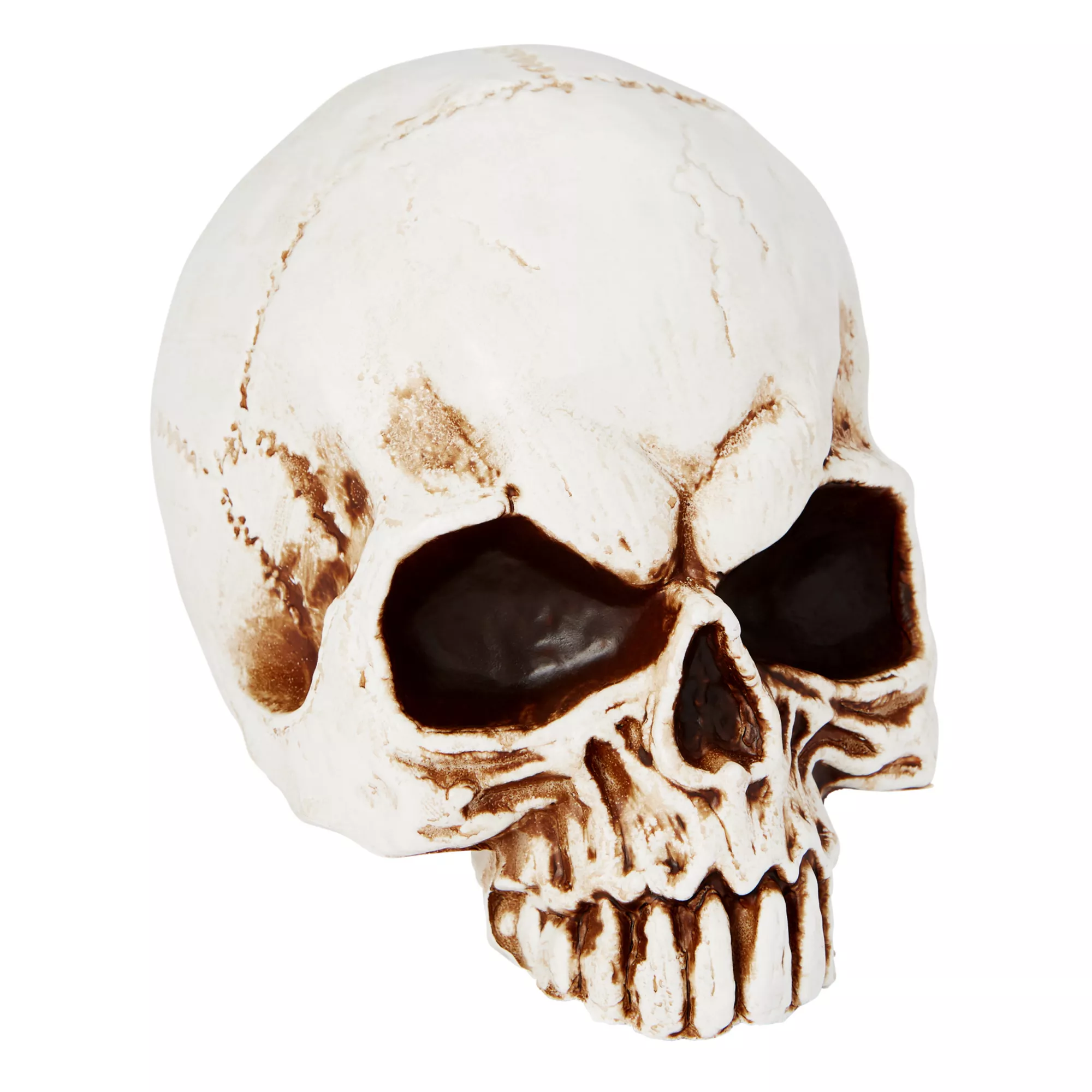 Jawless Skull at Spirit Halloween