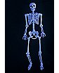 5 Ft Blacklight Skeleton