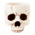 Skull Bowl at Spirit Halloween