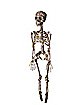 Moss Skeleton