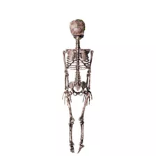 Moss Skeleton at Spirit Halloween