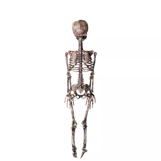 Moss Skeleton at Spirit Halloween