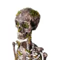 Moss Skeleton at Spirit Halloween