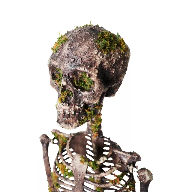 Moss Skeleton at Spirit Halloween