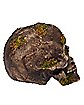 Moss Skull