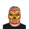 Vintage Werewolf Half Mask at Spencer's