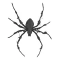 Nightmare Spider - Decorations at Spirit Halloween