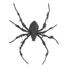 Nightmare Spider - Decorations at Spirit Halloween
