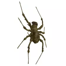 Posable Green Spider - Decorations at Spencer's