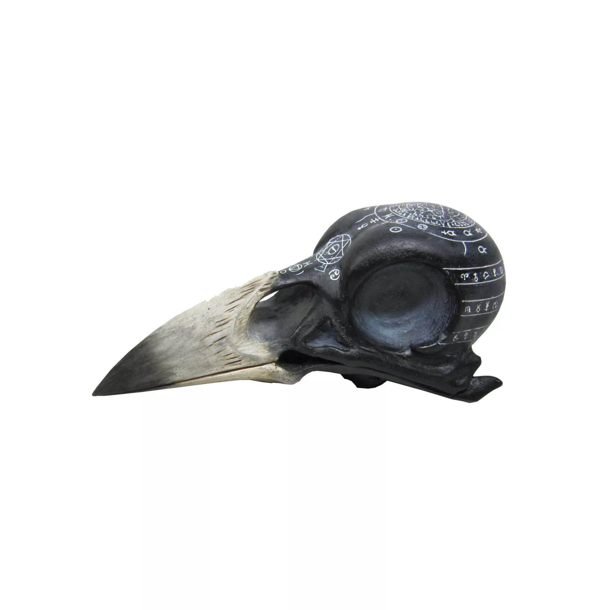 Mystical Arts Crow Skull at Spirit Halloween
