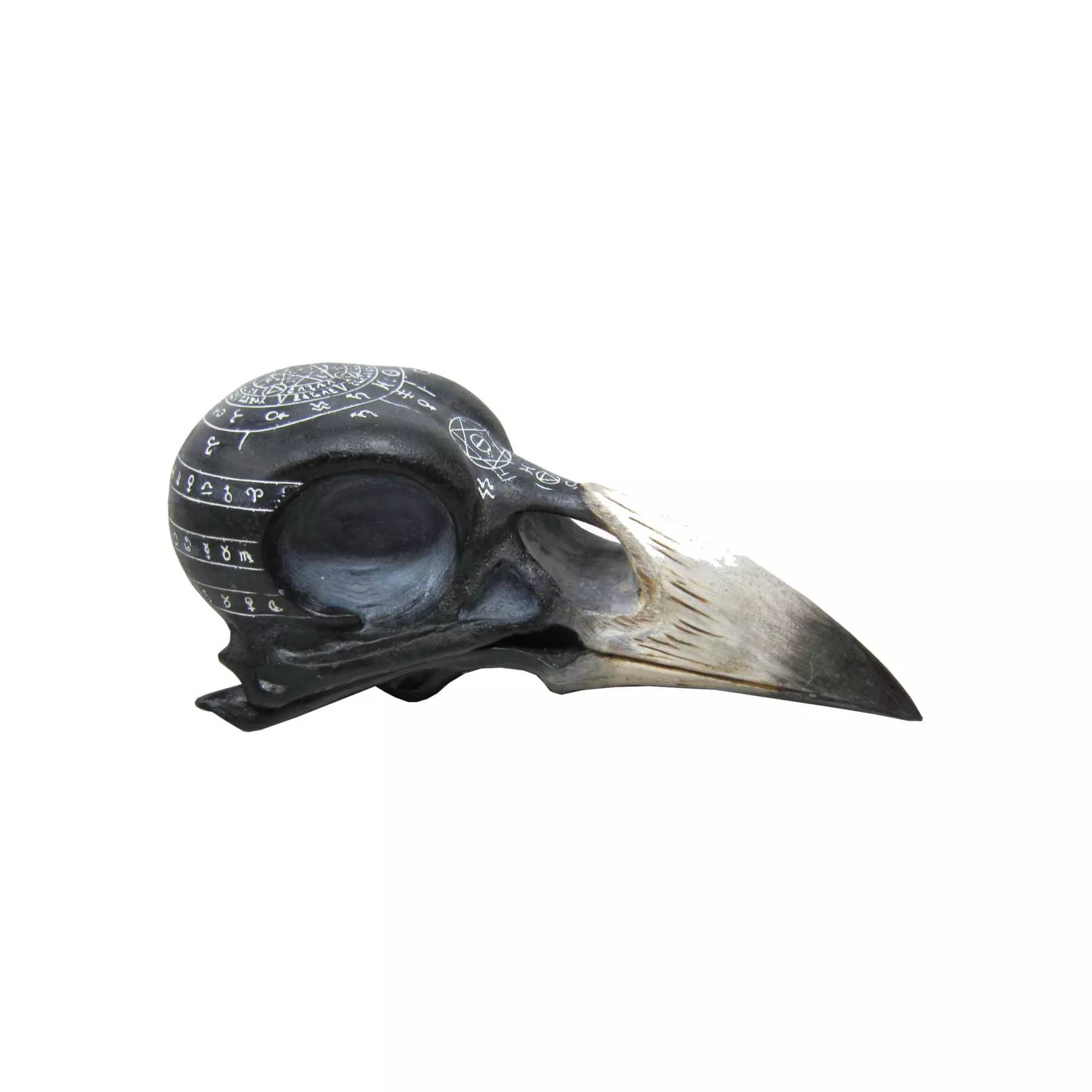 Mystical Arts Crow Skull at Spirit Halloween