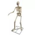 6 Ft Grim Animatronic at Spirit Halloween