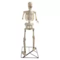 6 Ft Grim Animatronic at Spirit Halloween
