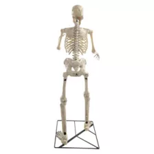 6 Ft Grim Animatronic at Spirit Halloween