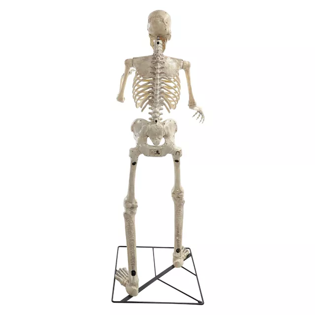 6 Ft Grim Animatronic at Spirit Halloween