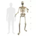 6 Ft Grim Animatronic at Spirit Halloween