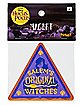 Original Witches Magnet - Hocus Pocus