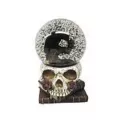 Gothic Noir Raven Snow Globe at Spirit Halloween
