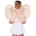 Applique Wings at Spencer's