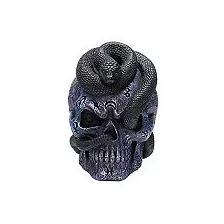 Mystical Arts Snake Skull at Spirit Halloween