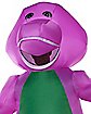 Adult Barney Inflatable Costume