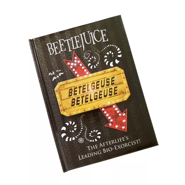 Light-Up Beetlejuice Journal at Spencer's