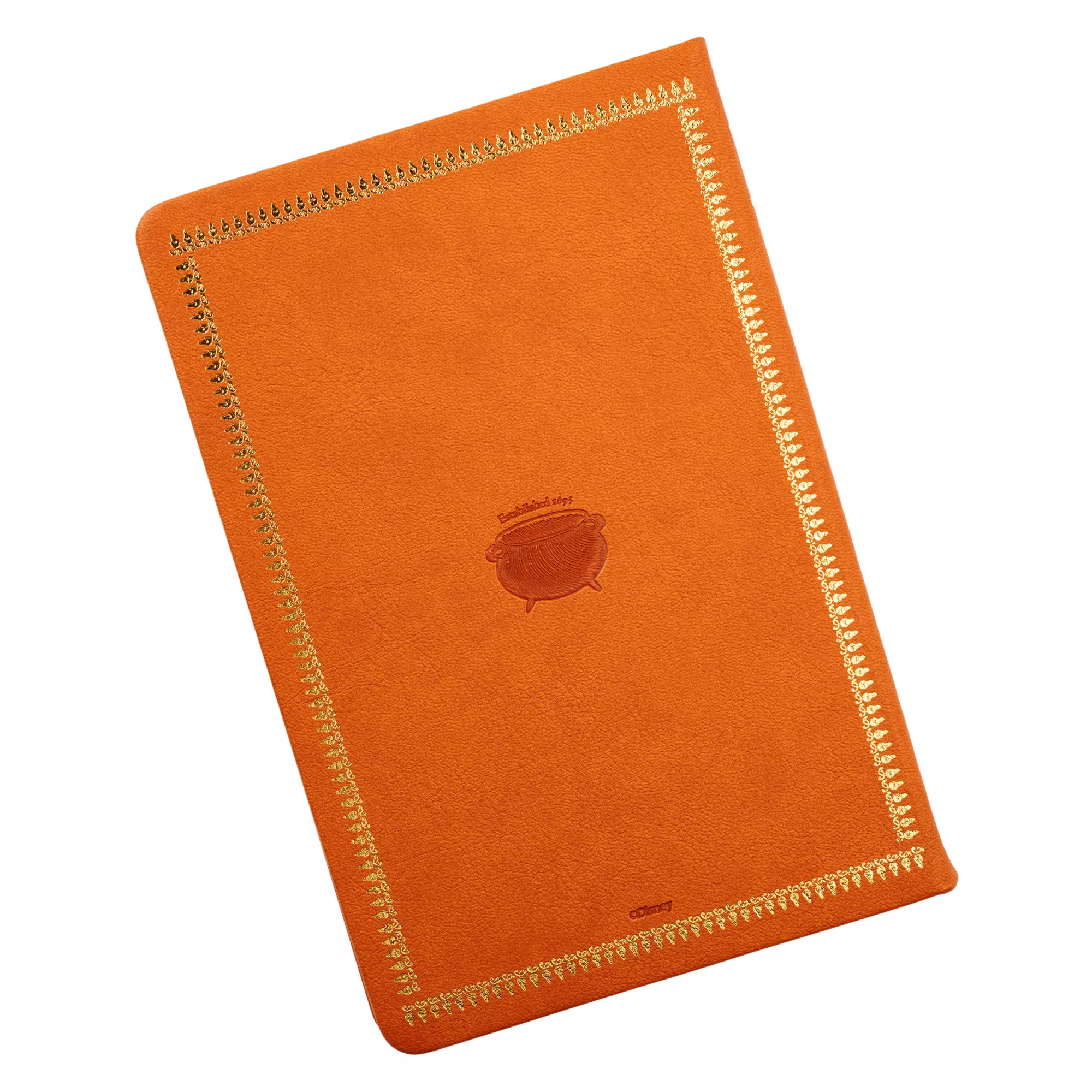 Hocus Pocus Journal Deluxe at Spencer's