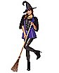 Adult Wicked Spell Caster Witch Costume