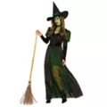 Adult Wicked Witch Costume - The Wizard of Oz at Spirit Halloween