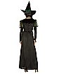 Adult Wicked Witch Costume - The Wizard of Oz