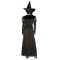 Adult Wicked Witch Costume - The Wizard of Oz at Spirit Halloween