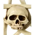 Skull and Bones Pentgram at Spencer's