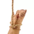 Hanging Pig Leg at Spirit Halloween