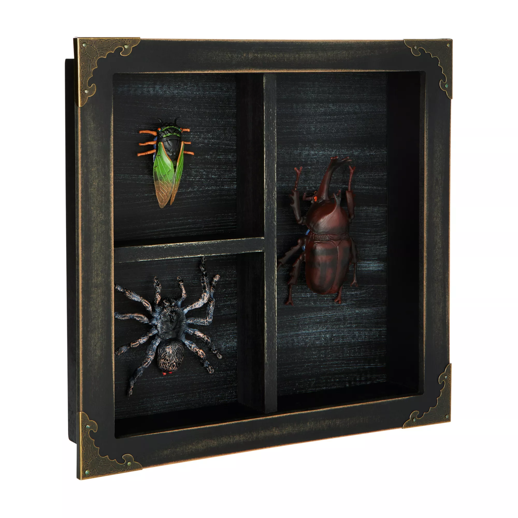 Mystical Arts Insect Sign at Spencer's