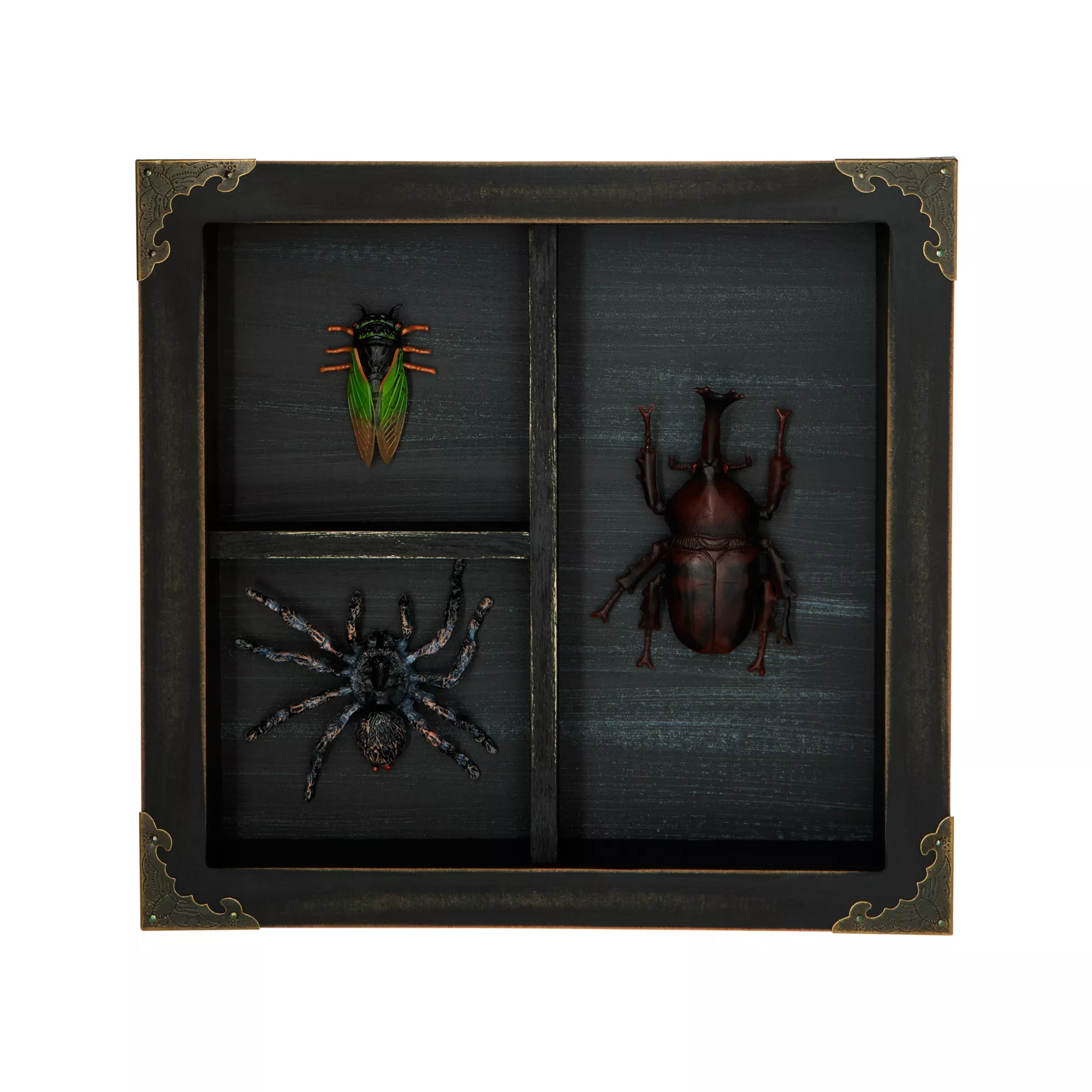 Mystical Arts Insect Sign at Spencer's