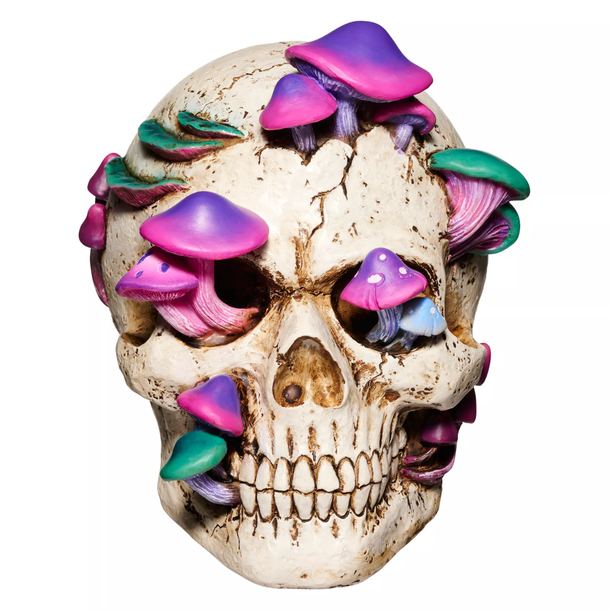 Mystical Arts Mushroom Skull at Spirit Halloween
