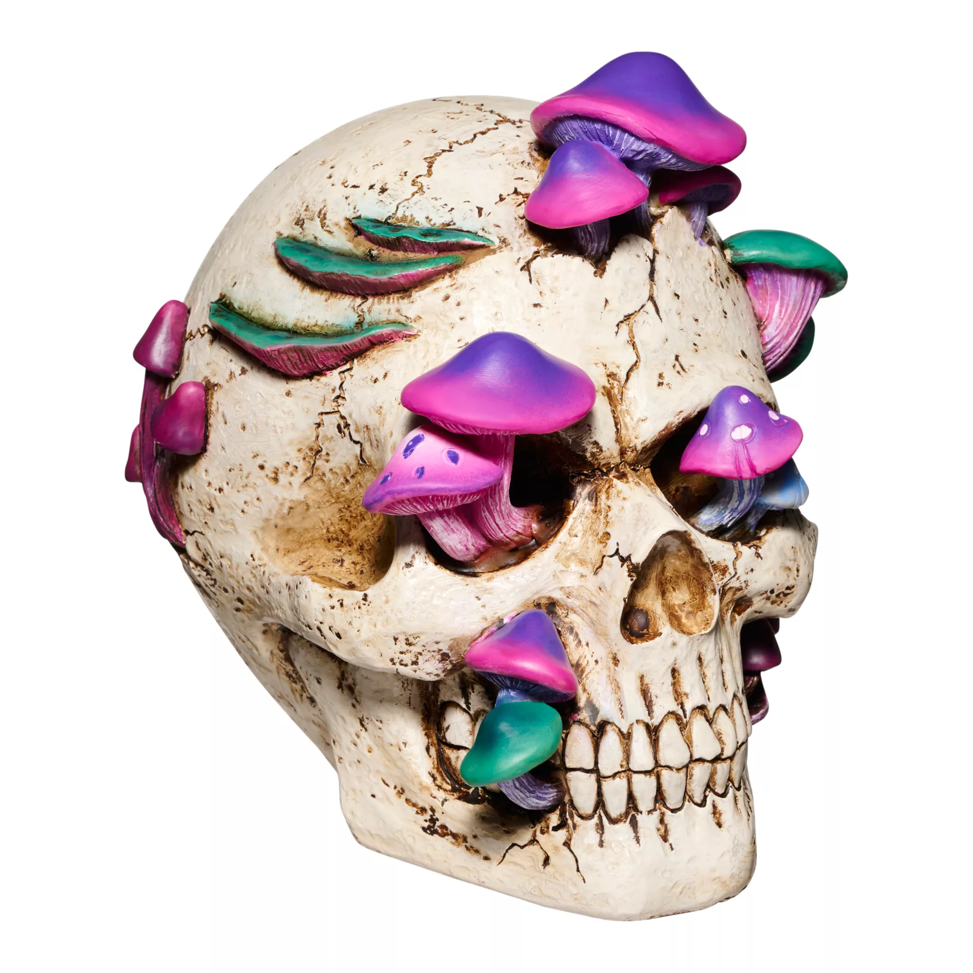 Mystical Arts Mushroom Skull at Spirit Halloween