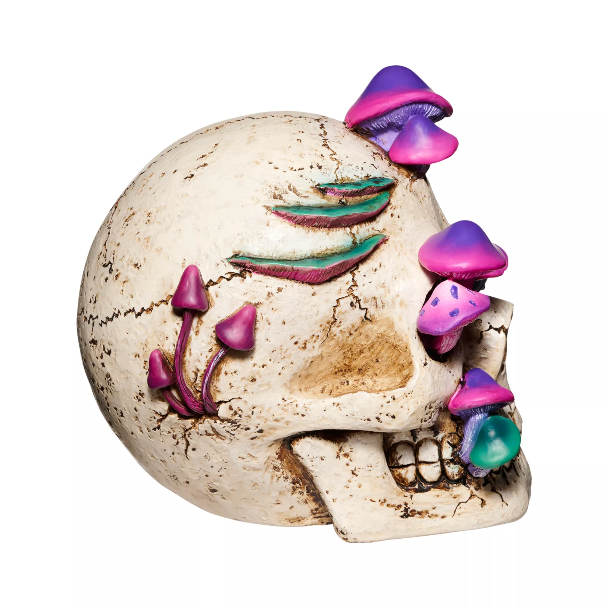 Mystical Arts Mushroom Skull at Spirit Halloween
