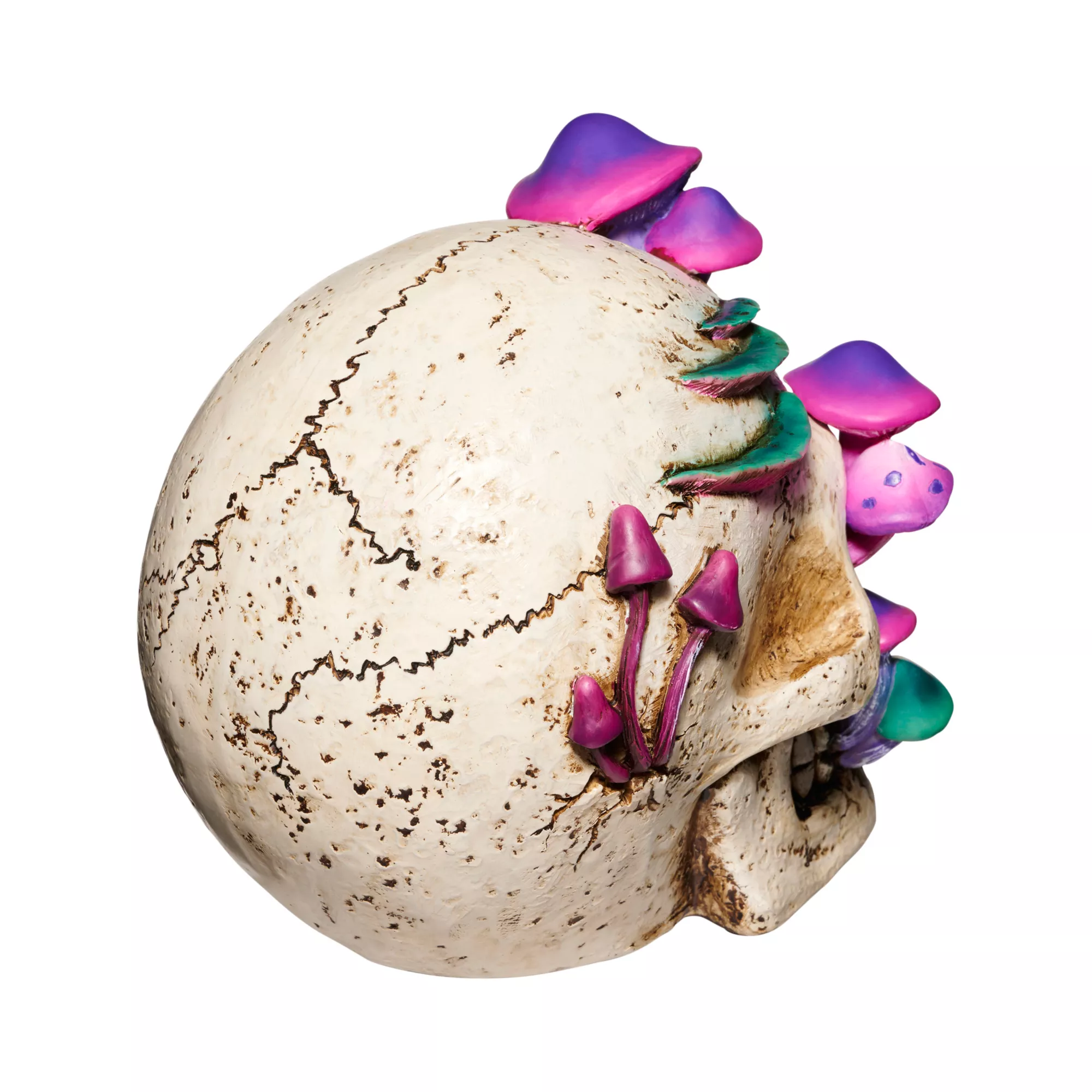 Mystical Arts Mushroom Skull at Spirit Halloween