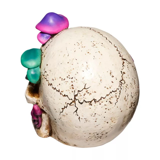 Mystical Arts Mushroom Skull at Spirit Halloween