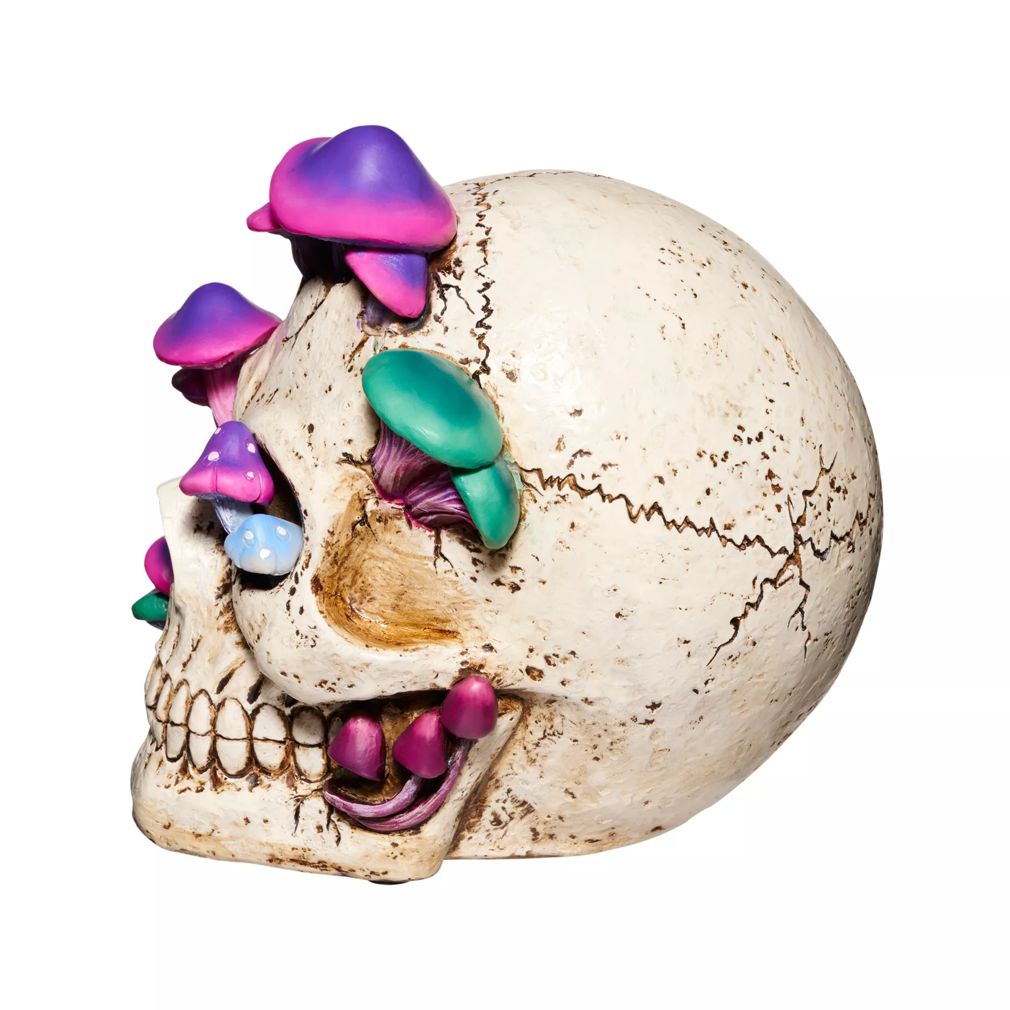 Mystical Arts Mushroom Skull at Spirit Halloween