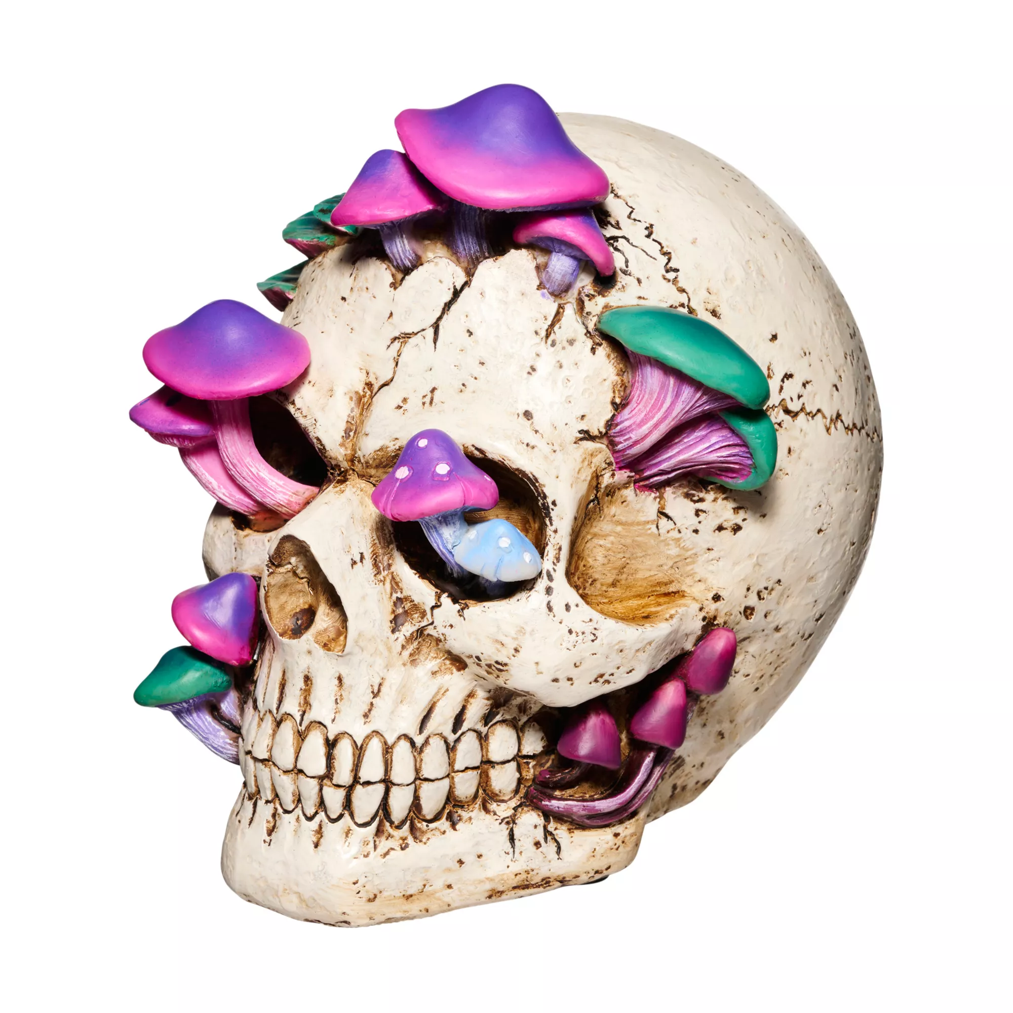 Mystical Arts Mushroom Skull at Spirit Halloween