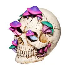 Mystical Arts Mushroom Skull at Spirit Halloween