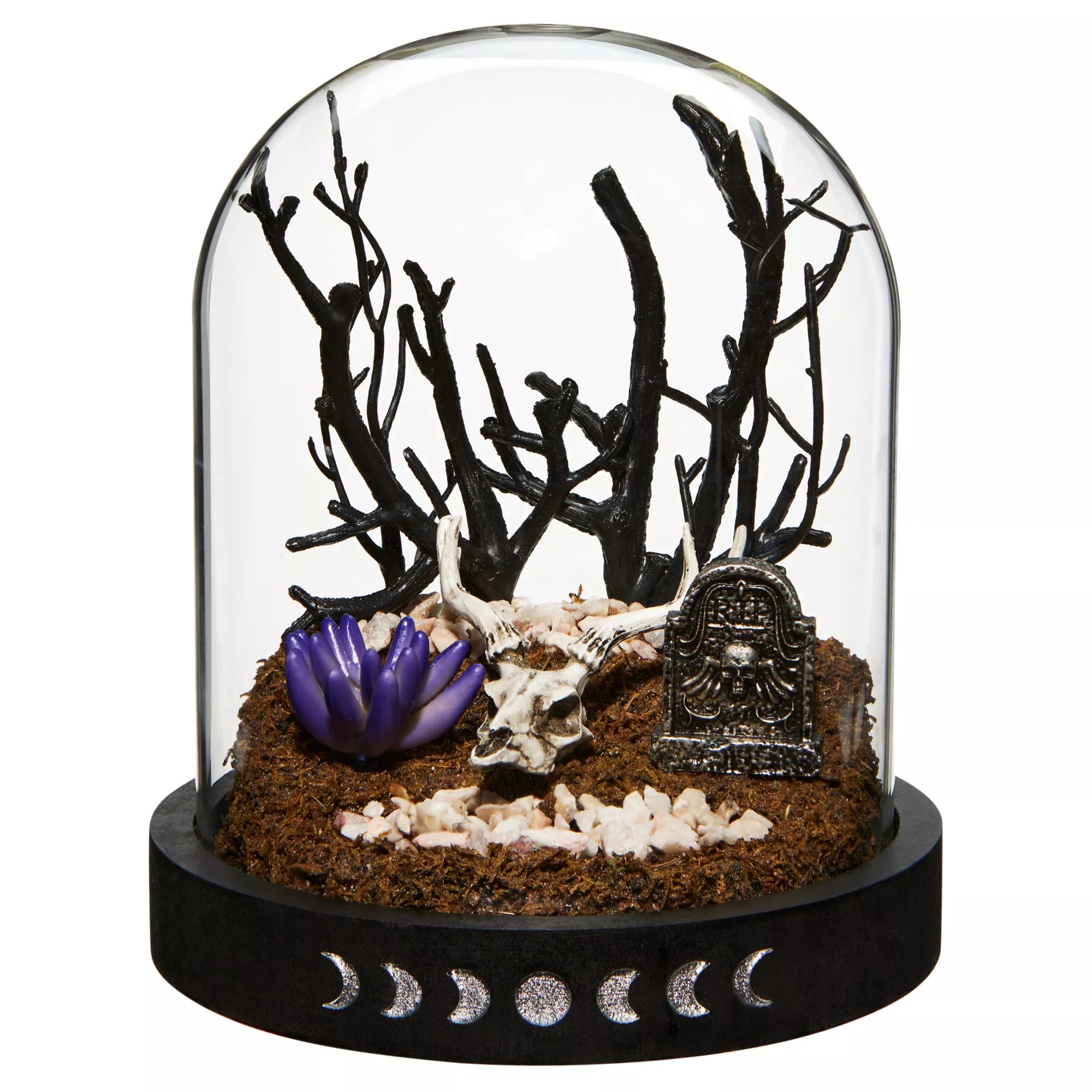 Mystical Arts Graveyard Terrarium Decoration at Spencer's