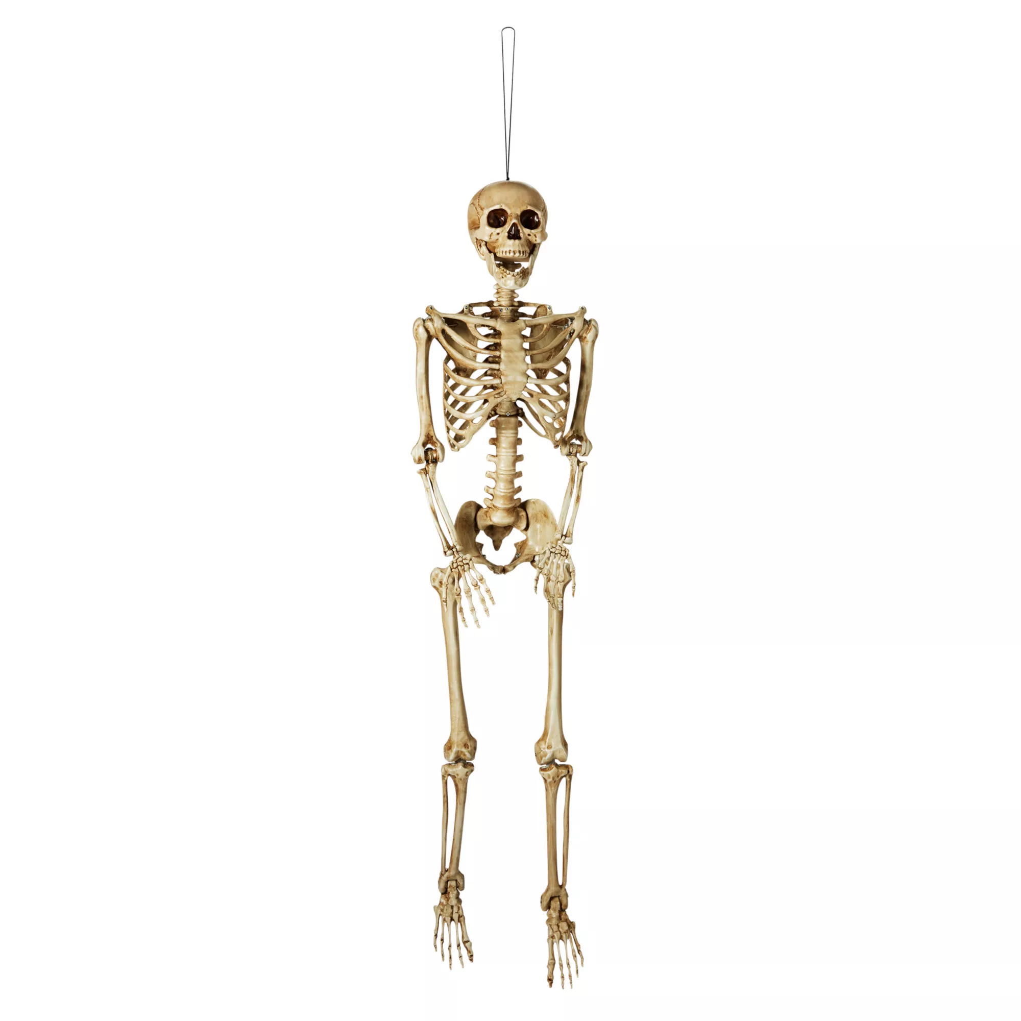 5 Ft Poseable Decayed Skeleton at Spirit Halloween
