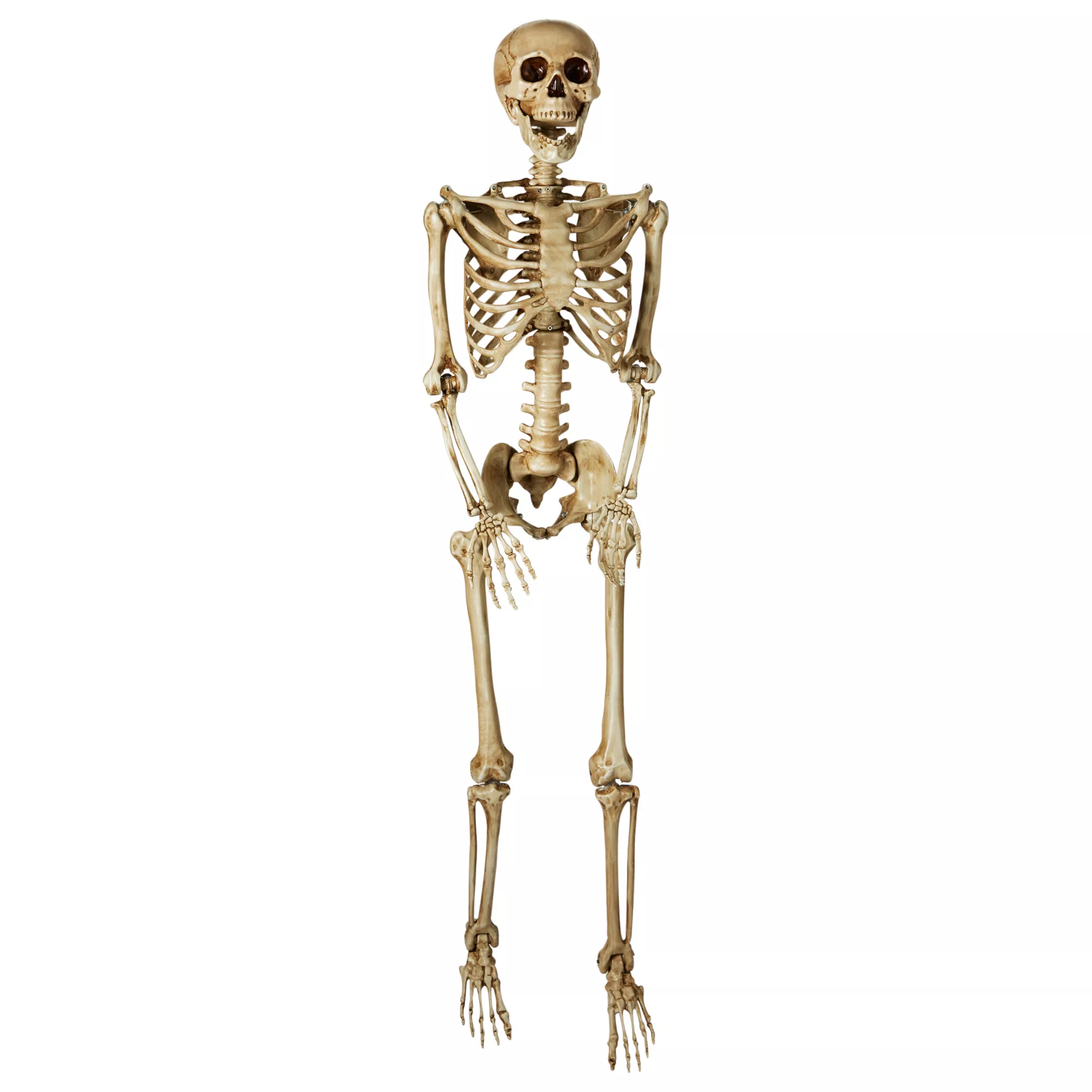 5 Ft Poseable Decayed Skeleton at Spirit Halloween