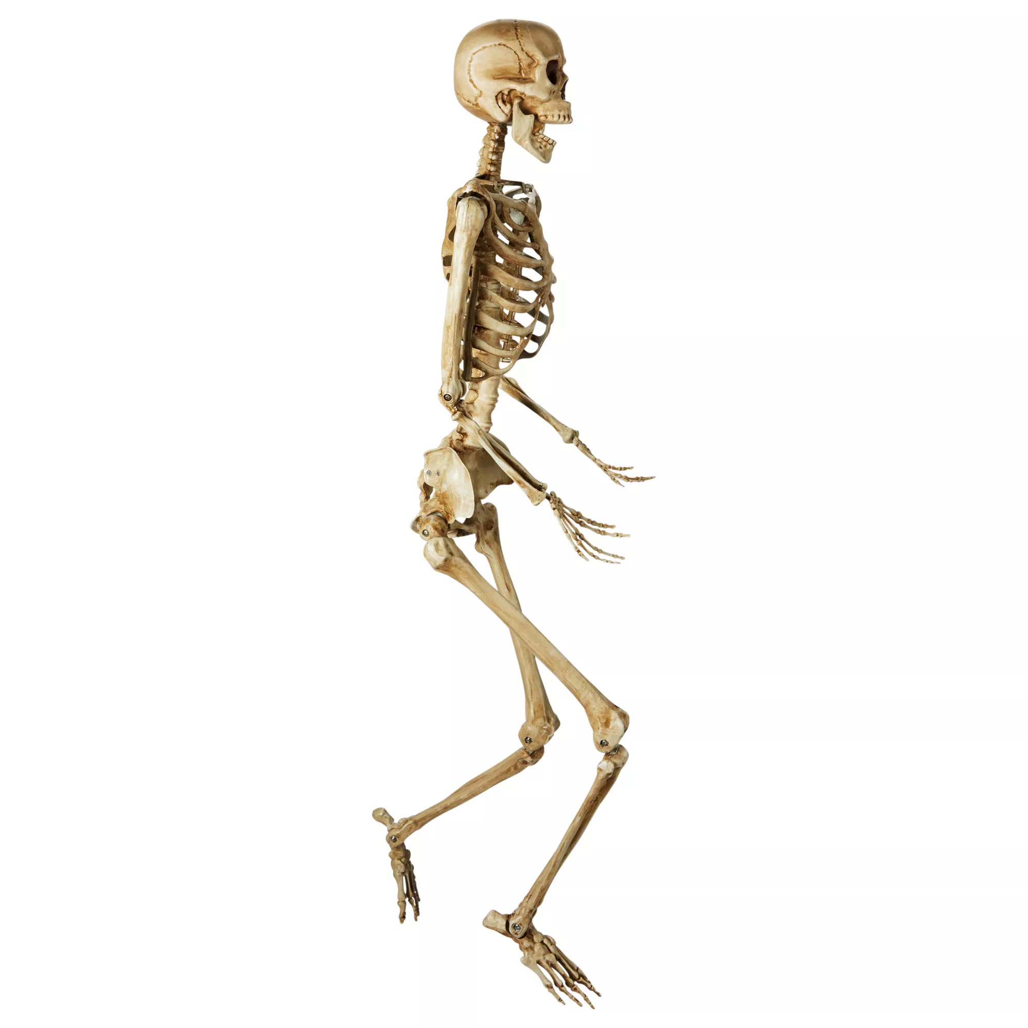 5 Ft Poseable Decayed Skeleton at Spirit Halloween